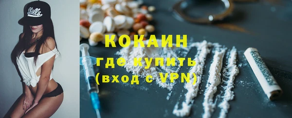 твердый Михайлов