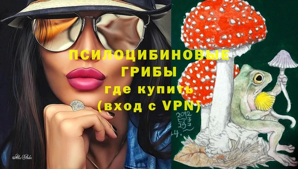 МДПВ Михайловск