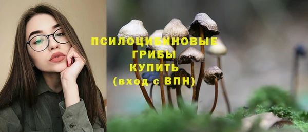 МДПВ Михайловск