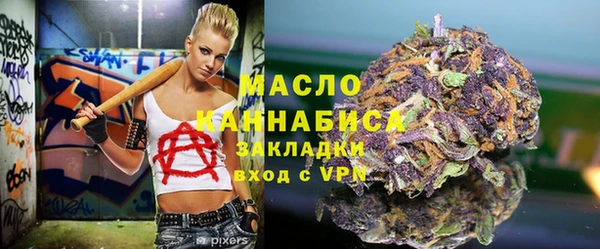 твердый Михайлов