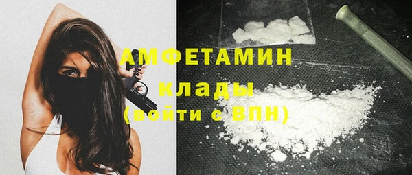 твердый Михайлов