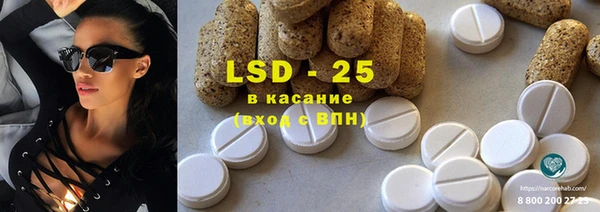 твердый Михайлов