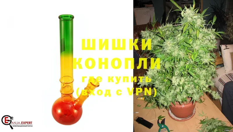 наркотики  Орлов  МАРИХУАНА White Widow 